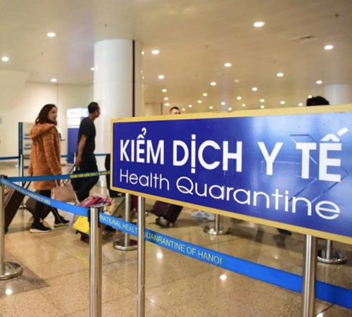 Bộ Y tế khuyến cáo không ăn trái cây bị dơi, chim cắn phòng virus Nipah