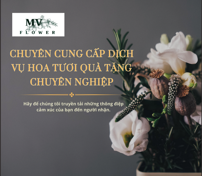 MV Flower Cửa Hàng Hoa Chuyên Cung Cấp Hoa Tươi Quà Tặng Chuyên Nghiệp 