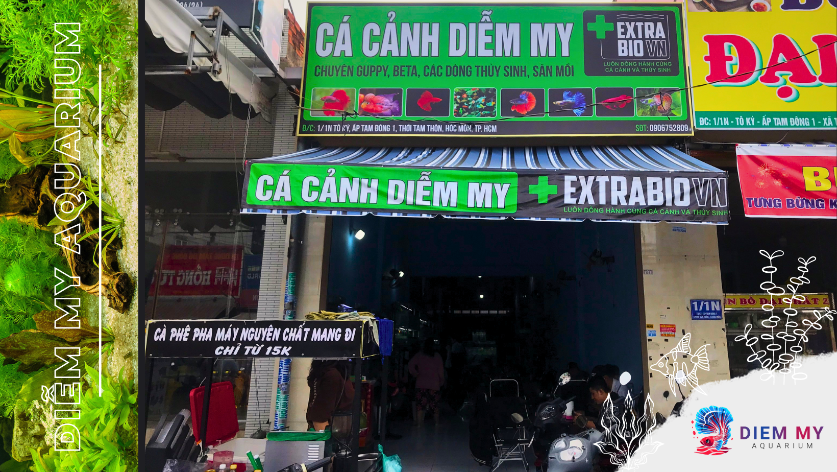Cửa Hàng Cá Cảnh Đẹp, Uy Tín Tại Hóc Môn