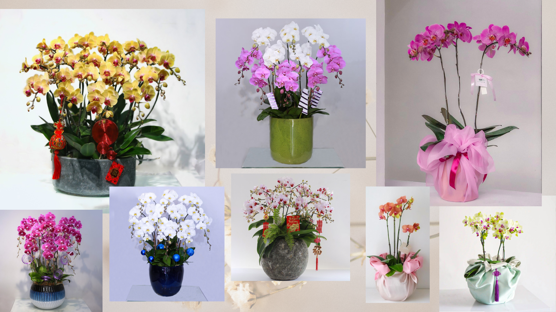 những mẫu hoa có tại MV Flower Cửa Hàng Hoa Chuyên Cung Cấp Hoa Tươi Quà Tặng Chuyên Nghiệp
