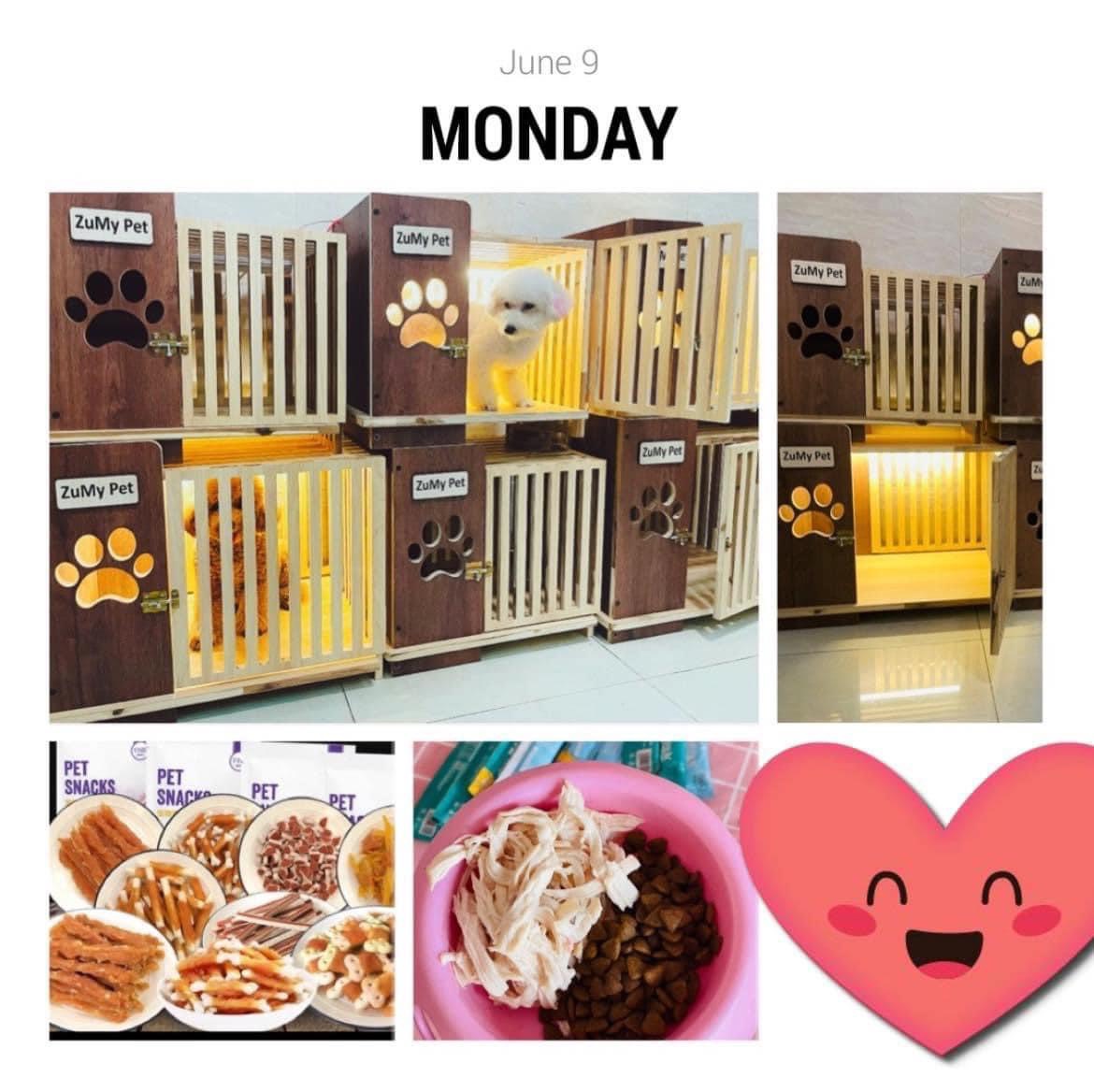 khách sạn thú cưng tại zumy pet shop