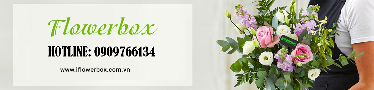 Iflowerbox Shop Hoa Tươi Uy Tín Chất Lượng Tại Thành Phố Hồ Chí Minh