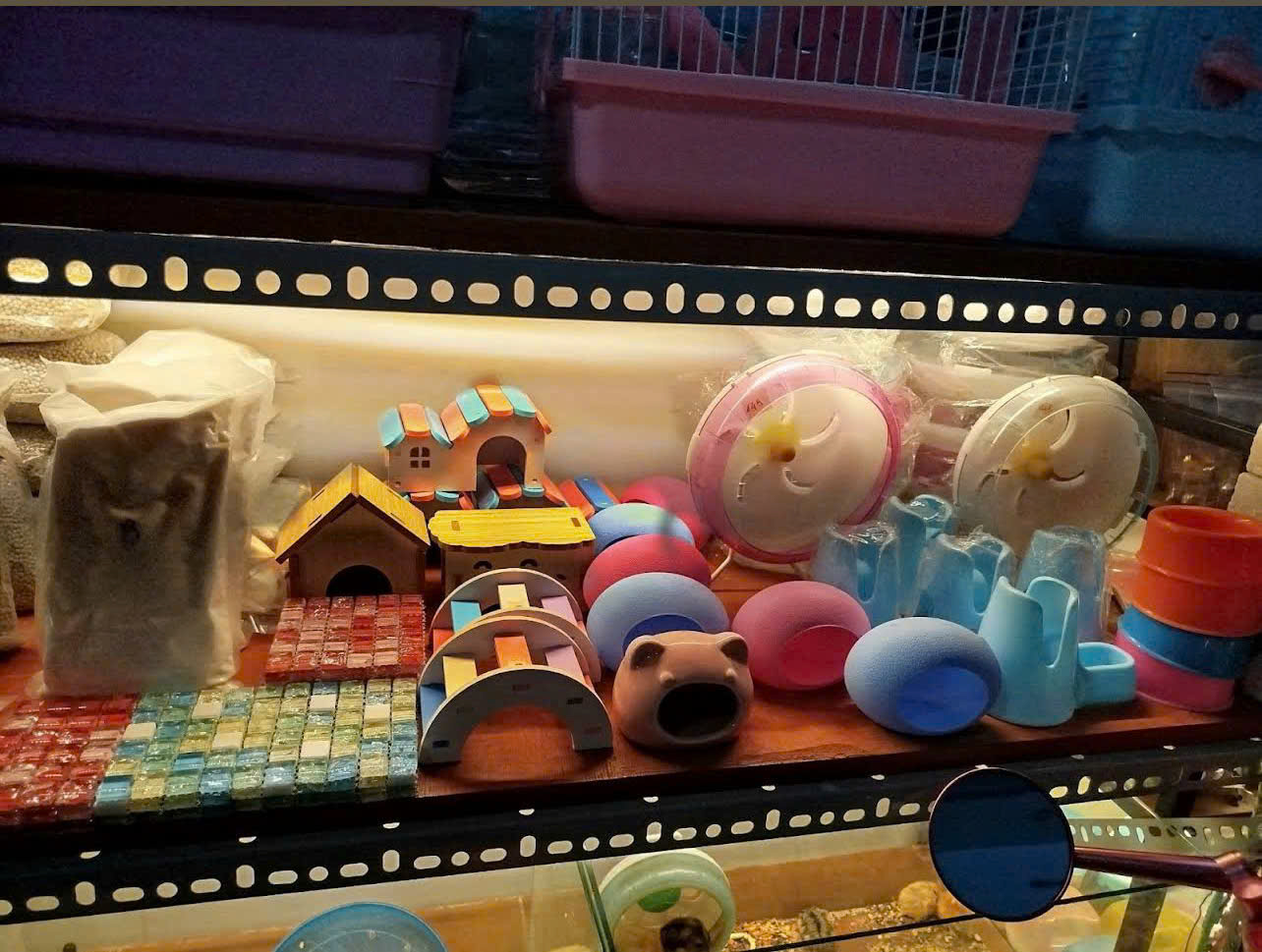 Thế Giới Hamster - Địa Chỉ Mua Hamster Và Phụ Kiện Uy Tín Tại Hóc Môn