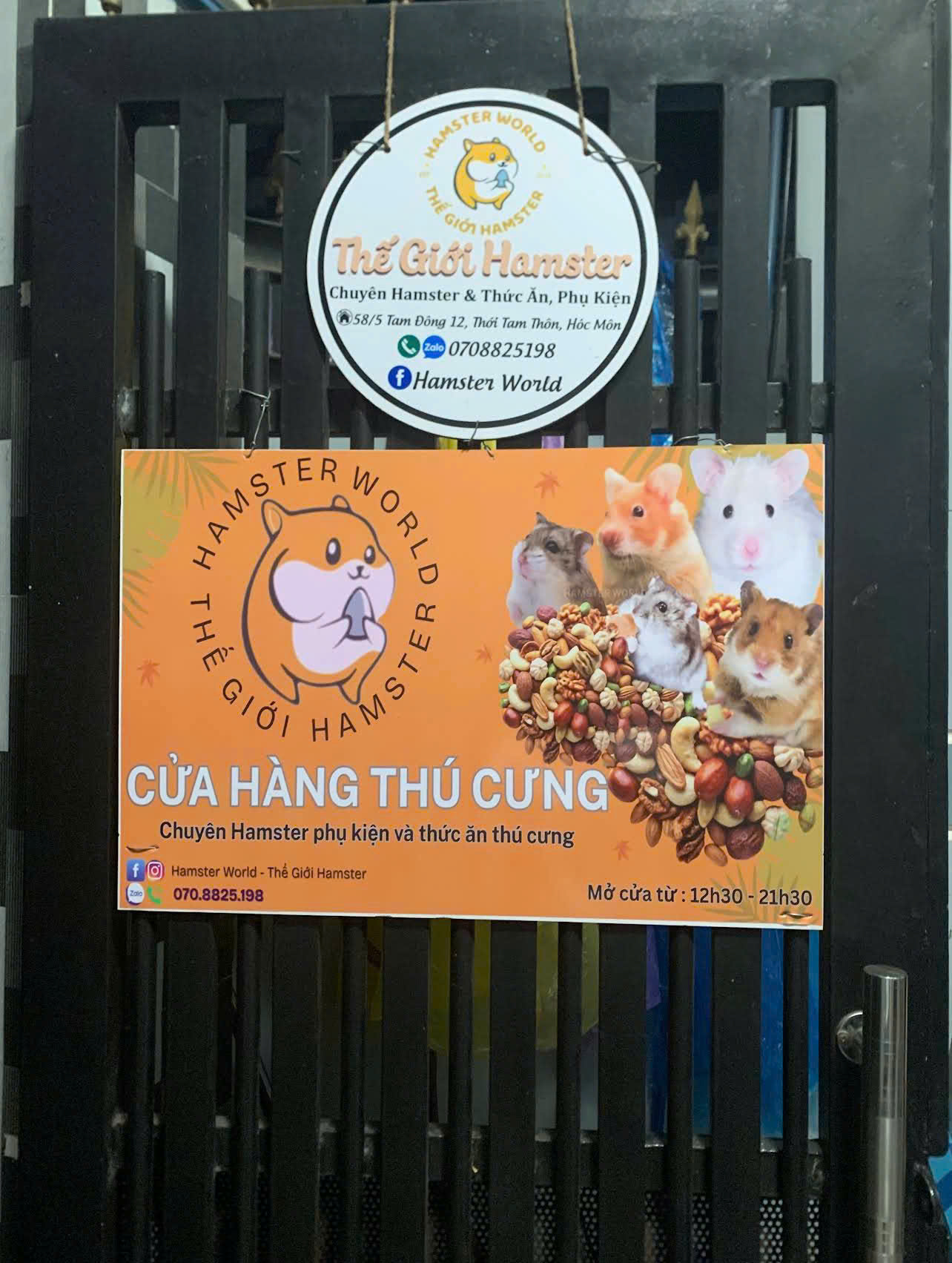 Thế Giới Hamster - Địa Chỉ Mua Hamster Và Phụ Kiện Uy Tín Tại Hóc Môn